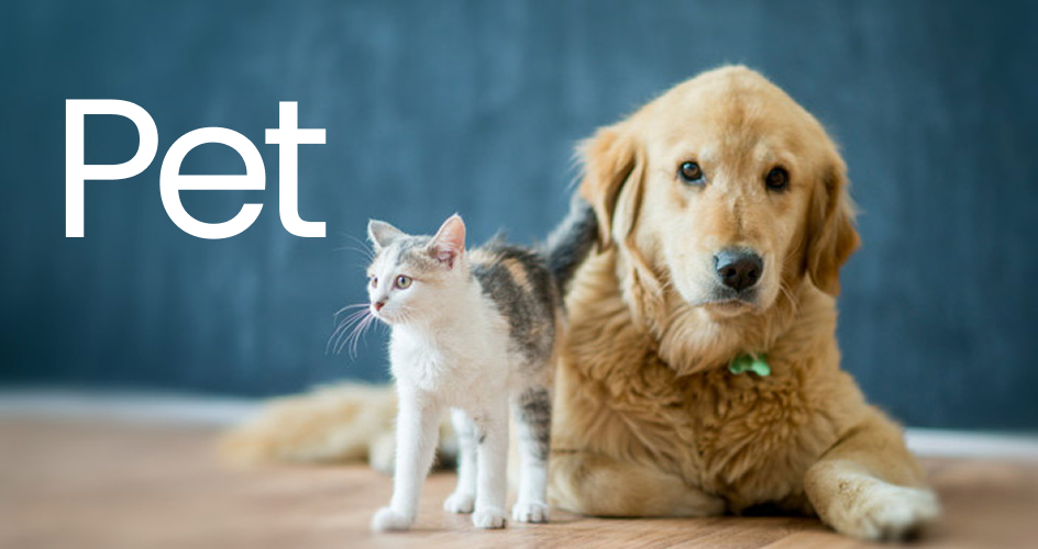 PET.png