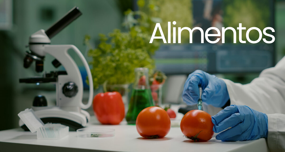 Alimentos.png